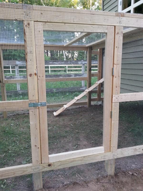How to build a chicken coop for dummies (or more accurately, by a dummy